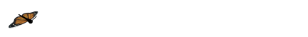 ein Falter